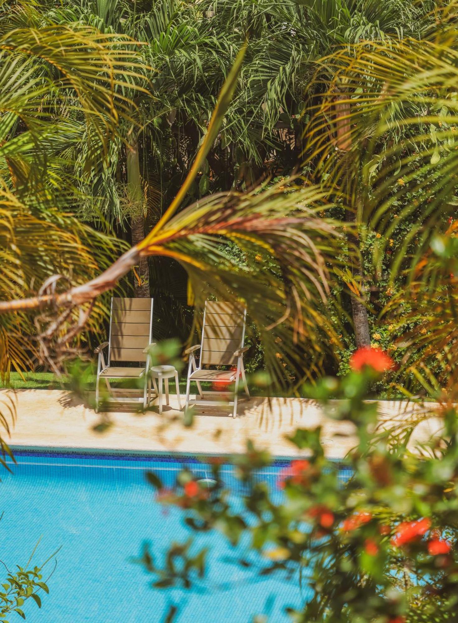 Hotel Villa Del Sol Coco Bagian luar foto
